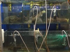 水产区-香满居张记小厨私房菜(青岛站店)