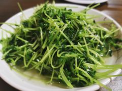 酒香豆苗-沈记菜馆(酒仙桥路店)