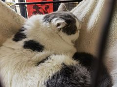 -四季暖堂·融合江浙菜(N1955创业园店)