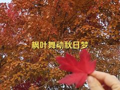 -水秀国际大剧院