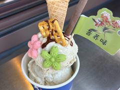 沙棘冰淇淋-凯鸽酒楼(操场城店)