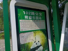 -都江堰中华大熊猫苑