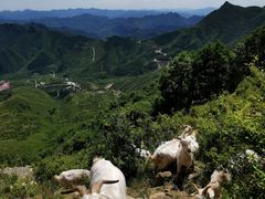 -白草畔自然风景区