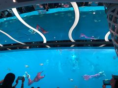 -瑞德姆美人鱼海底演艺主题餐厅(亚龙湾店)