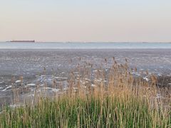-上海吴淞炮台湾国家湿地公园