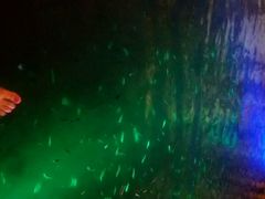 android_upload_pic-宝丽金大酒店·洗浴中心