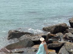 -枸杞岛