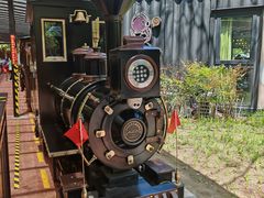 -黄海国家森林公园