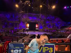 -广州长隆国际大马戏
