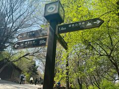 -沈阳辉山风景区