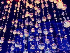 -广州四季酒店·佰鲜汇·现代法餐