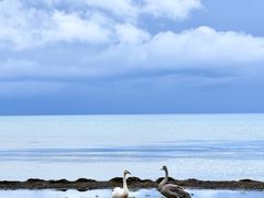 -赛里木湖风景名胜区