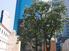 -大馆(前中区警署建築群)