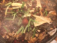 -老板恋上鱼(印象城店)