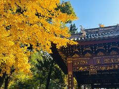 -汇龙潭