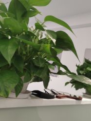 -战痘宣颜科学皮肤管理祛痘中心