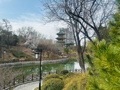-迎泽公园