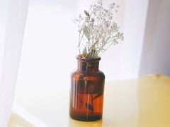 -知物癖(牛王庙店)