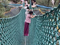 -原山国家森林公园