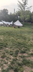 -268童话露营农场·烧烤·团建