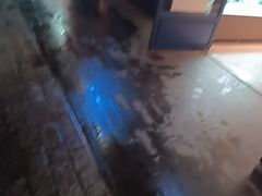 -汉堡王(徐汇绿地缤纷店)
