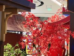 -牛New寿喜烧(闵行龙湖天街店)