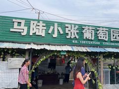 -马陆小张葡萄园农家乐