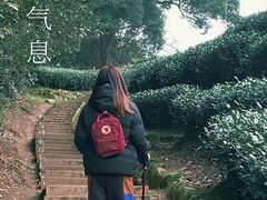 -西湖风景区十里琅珰-五云山
