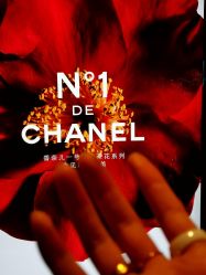 -CHANEL香奈儿