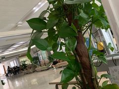 -上海交通大学医学院附属瑞金医院(总院)
