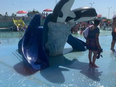 -秦皇岛乐岛海洋王国