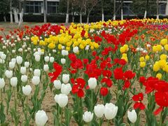 -江南大学(蠡湖校区)
