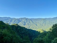 -黑河国家森林公园
