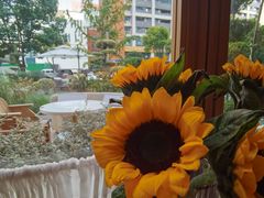 -翠贝卡&Mama Kelly Brunch Coffee(河西店)