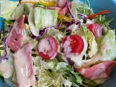 -喜上喜鸡煲翅(吉大店)