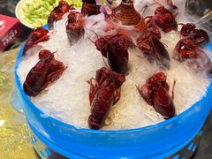 冰镇千醉龙虾-袁老大龙虾(石鼓路总店)