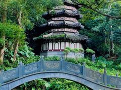 -深圳国际园林花卉博览园