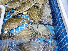 -大锅强·蒸海鲜青岛菜(吾悦广场店)