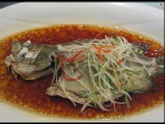 -上海虹梅嘉廷酒店