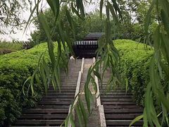 -菊花台公园