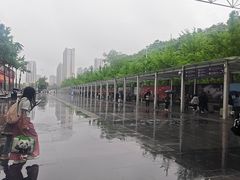 -岳阳东站