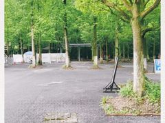 -东平国家森林公园