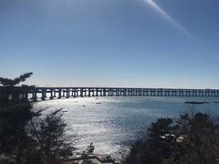 -星海湾跨海大桥