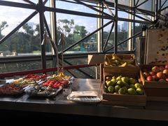 -新加坡瑞士史丹福酒店