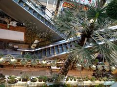 -双季花艺园艺市场(浦东店)