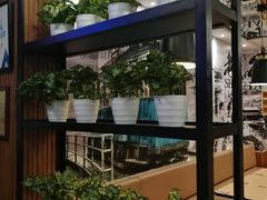 -四海游龙(大华店)