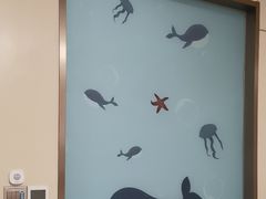 -上海仁爱医院口腔科 · 种植