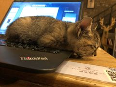 -时光转角咖啡馆(西康路店)