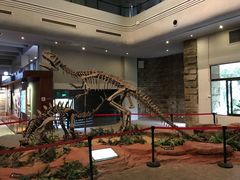 -自贡恐龙博物馆