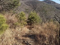 -妙峰山风景名胜区
